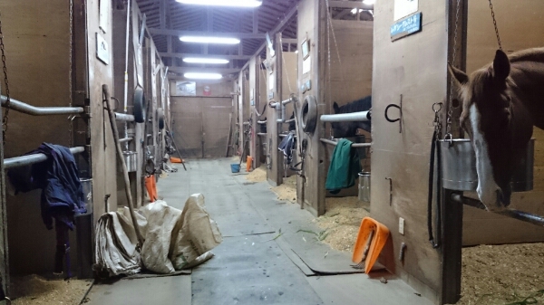 b0187620_21401140.jpg