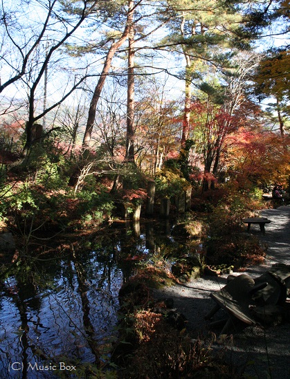 c0071221_1153313.jpg