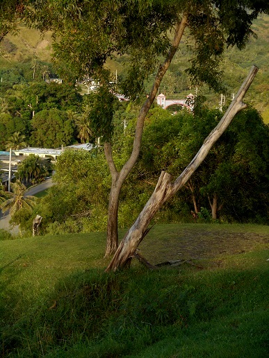 c0142326_21251062.jpg