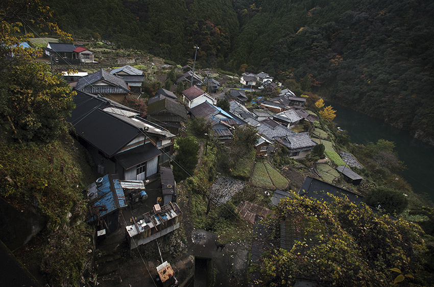 d0147530_10491055.jpg