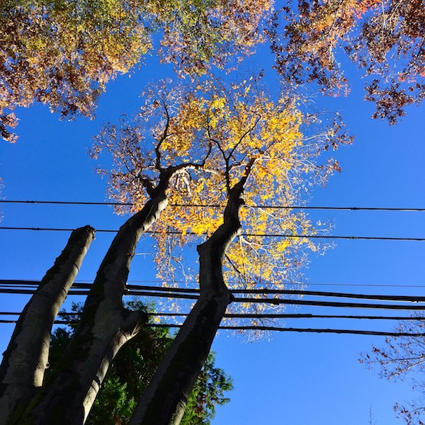 b0172633_1702055.jpg