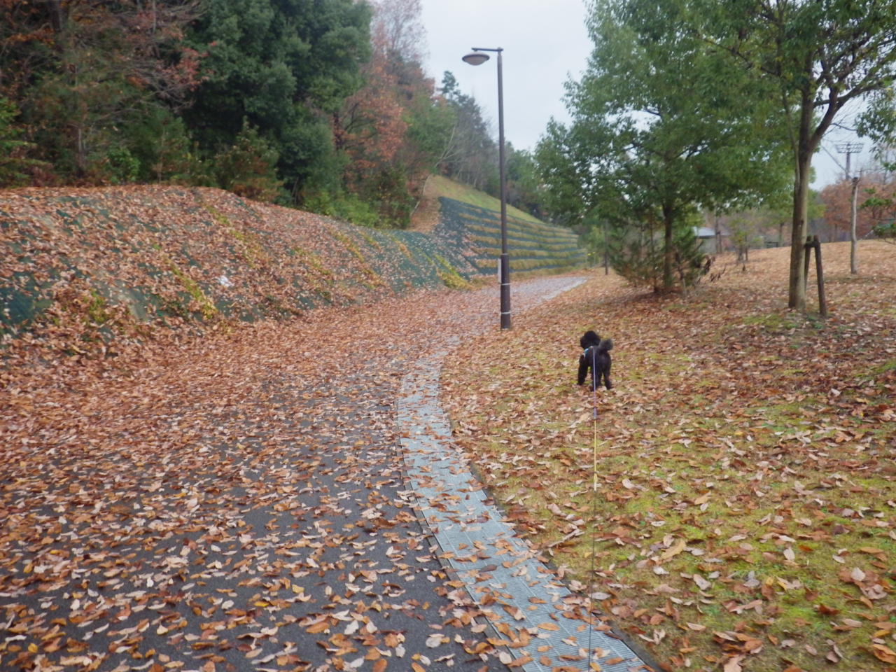 c0300035_8155142.jpg