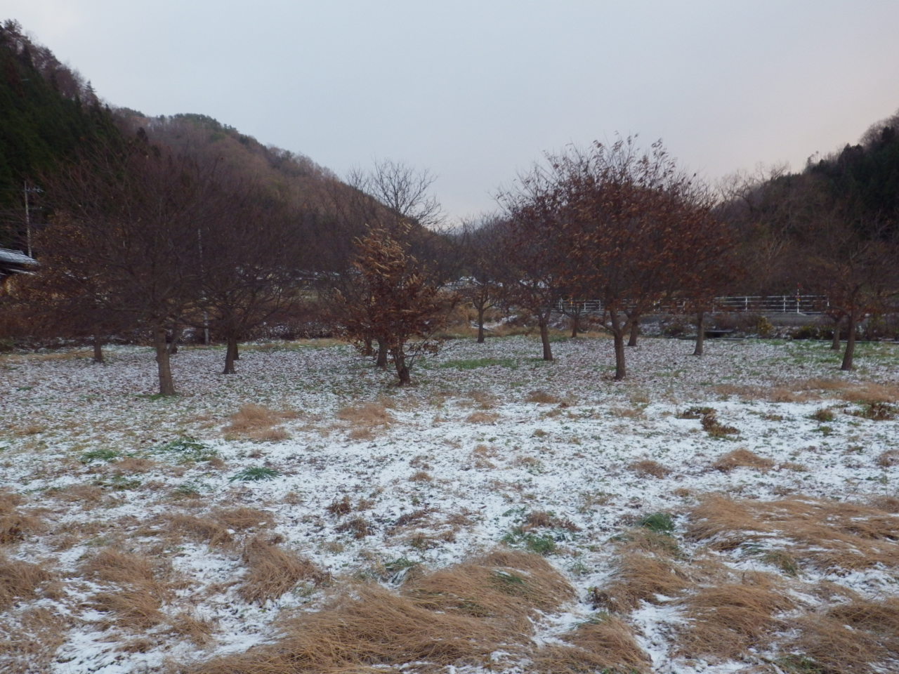 c0300035_874859.jpg