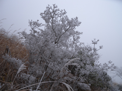 e0272335_1546173.jpg