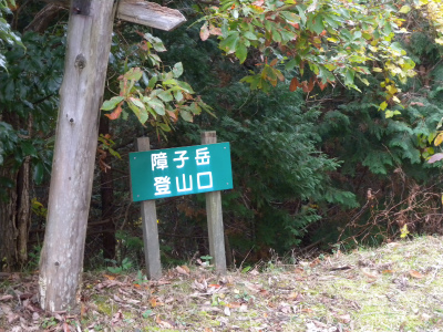 e0272335_1625676.jpg