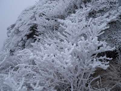 e0272335_1662079.jpg