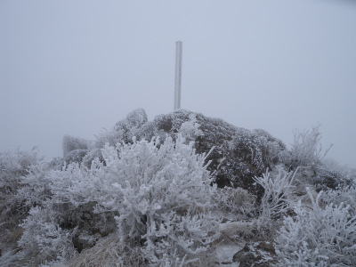 e0272335_1694653.jpg