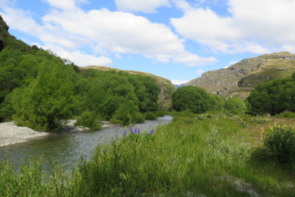 b0334436_17565081.jpg