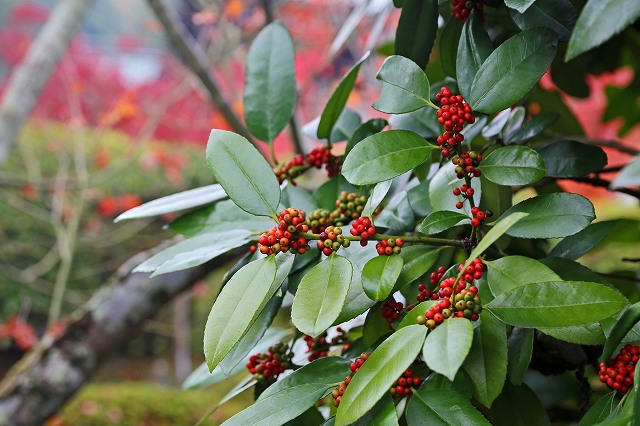 a0242438_20103224.jpg