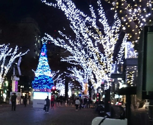 b0135438_00315529.jpg