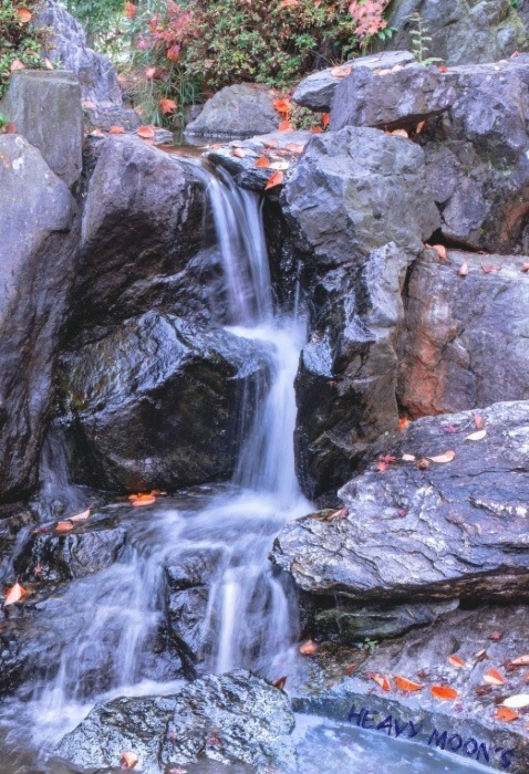 c0335943_19202075.jpg