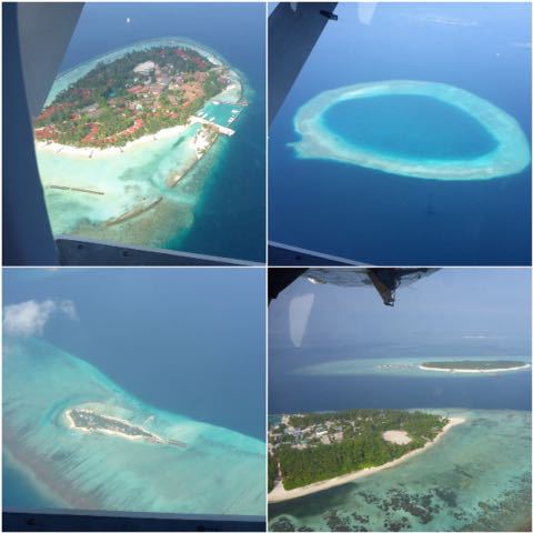 e0210347_9535352.jpg
