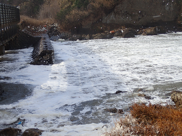 f0214649_20123213.jpg