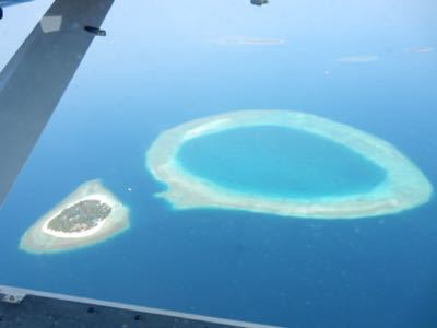 d0224362_13523390.jpg