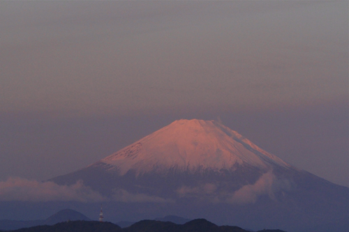 a0157069_1150059.jpg