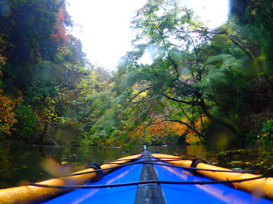 c0122670_00504931.jpg