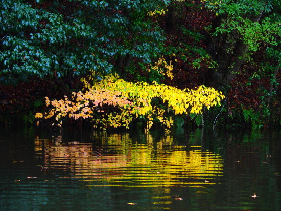 c0122670_01033714.jpg