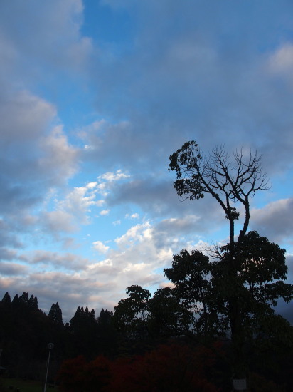 c0122670_01361967.jpg