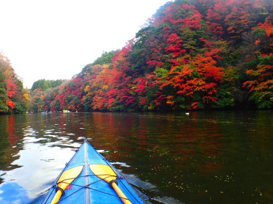 c0122670_10354014.jpg