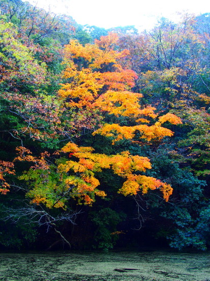 c0122670_10443095.jpg