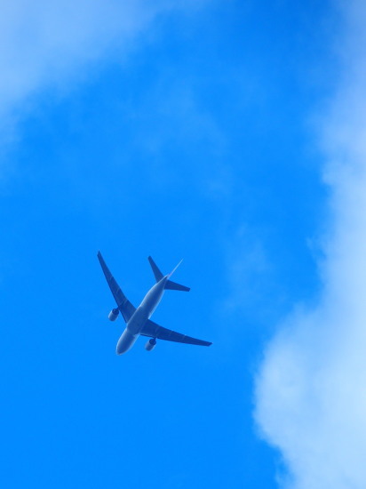 c0122670_10553032.jpg