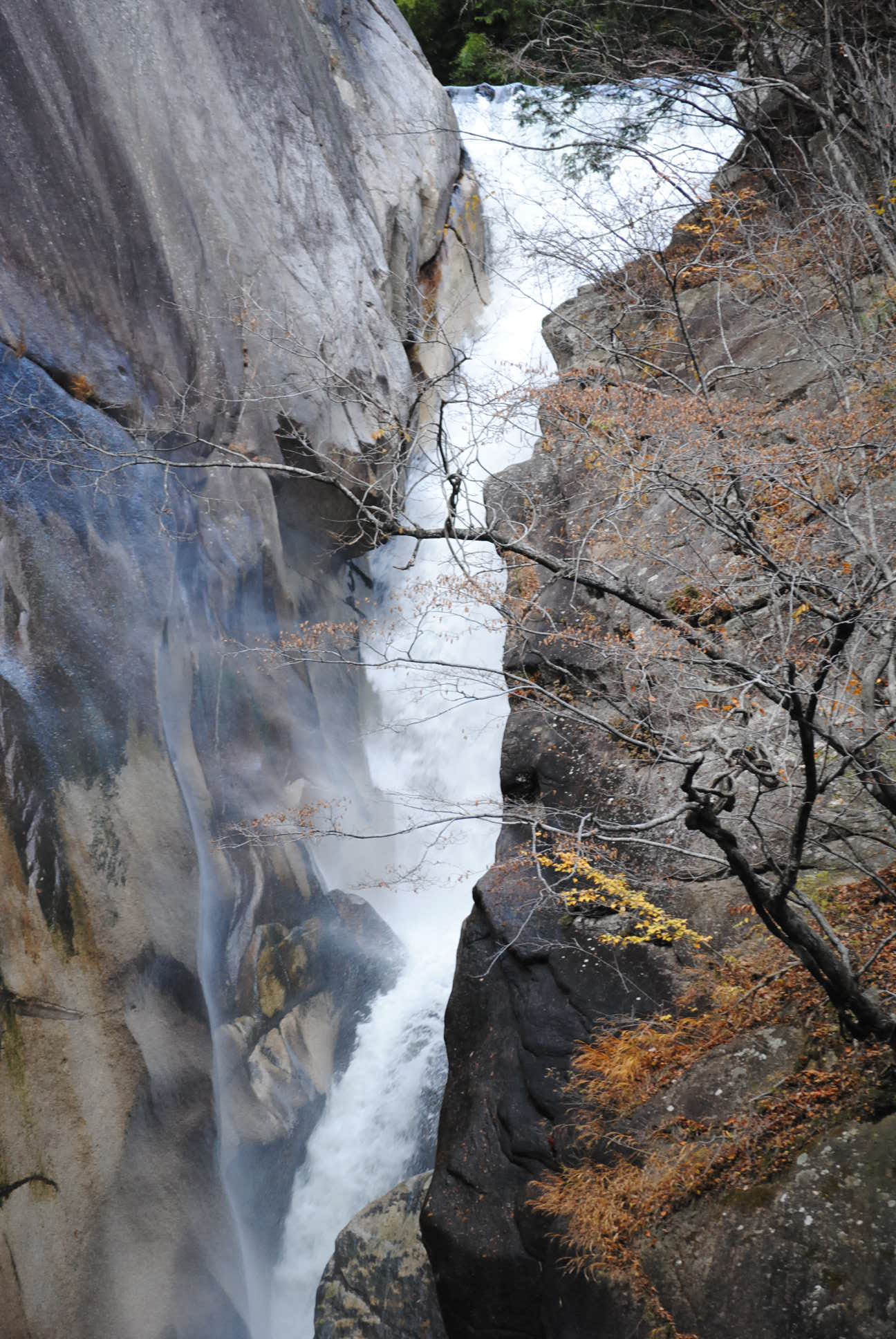 b0242873_14001284.jpg