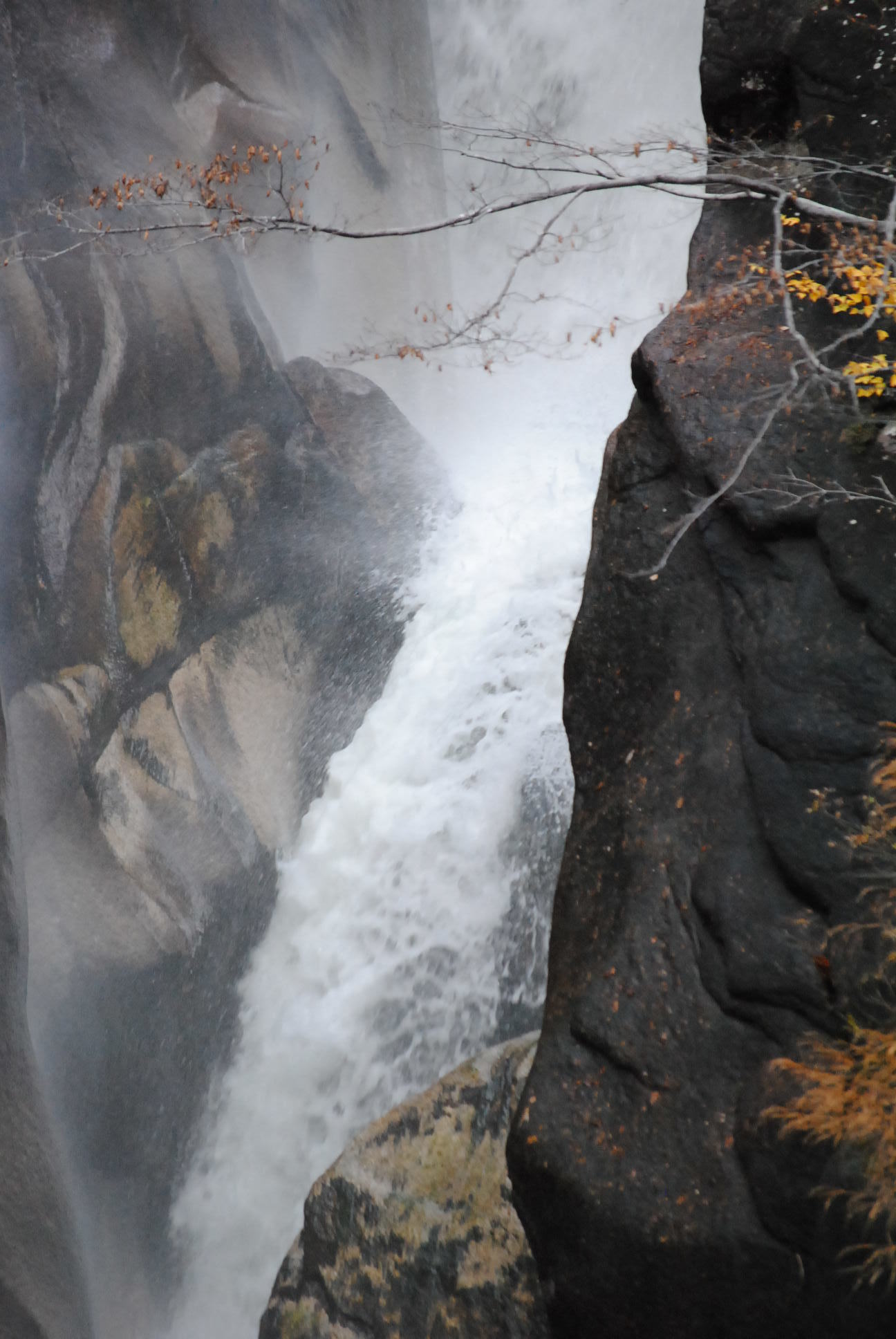 b0242873_14010225.jpg