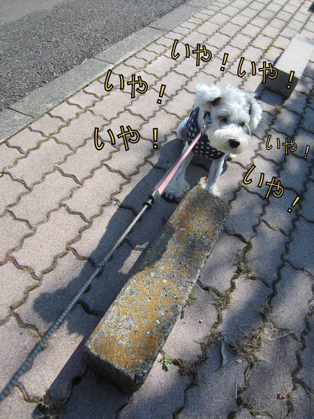 d0264176_22123562.jpg