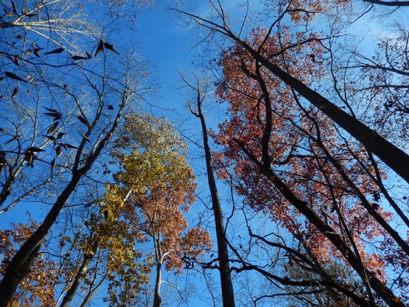 c0144185_15442748.jpg