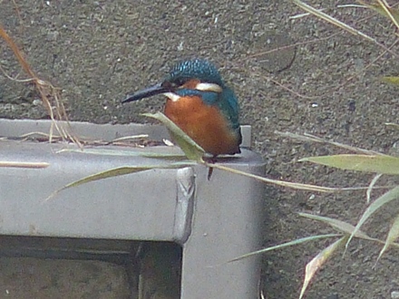 f0357487_22342891.jpg