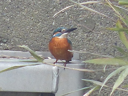 f0357487_22344447.jpg
