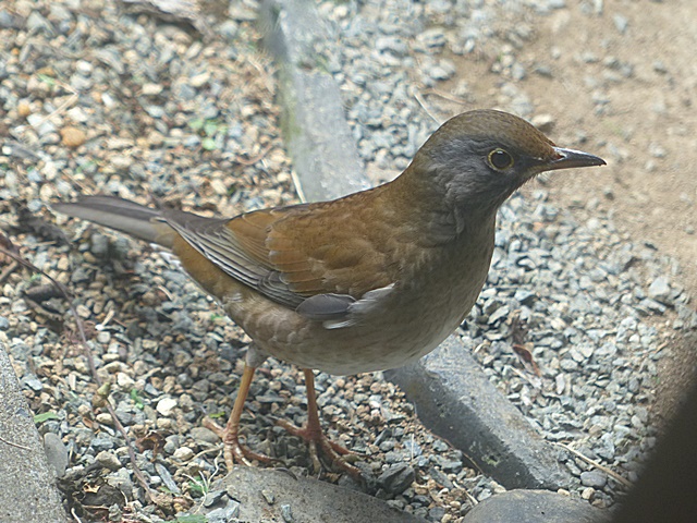 f0357487_22395150.jpg