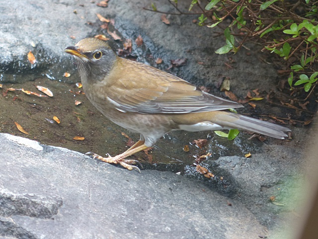 f0357487_2240492.jpg