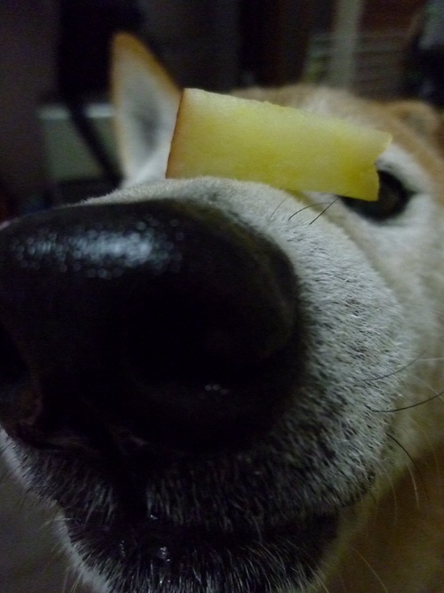 c0123890_22135168.jpg