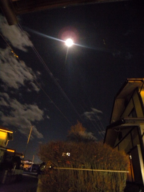 a0199297_2042746.jpg