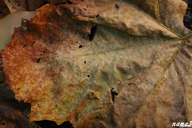 f0224100_2391358.jpg