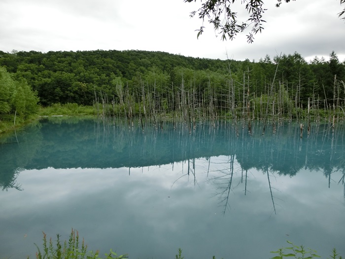 d0004301_23275017.jpg