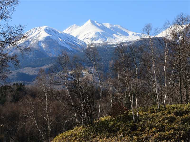 a0188405_09314647.jpg