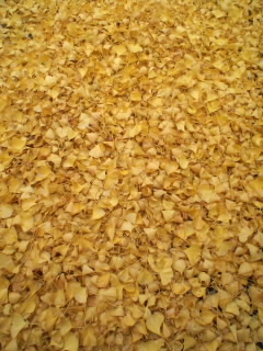 c0140516_2124259.jpg
