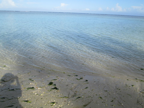 d0197317_145945100.jpg