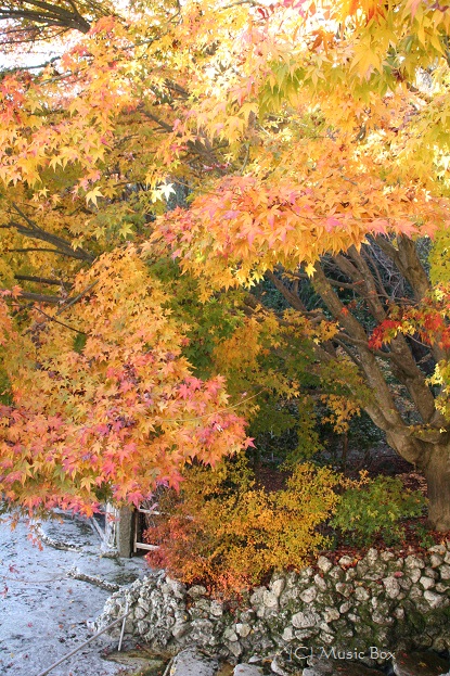 c0071221_1032177.jpg