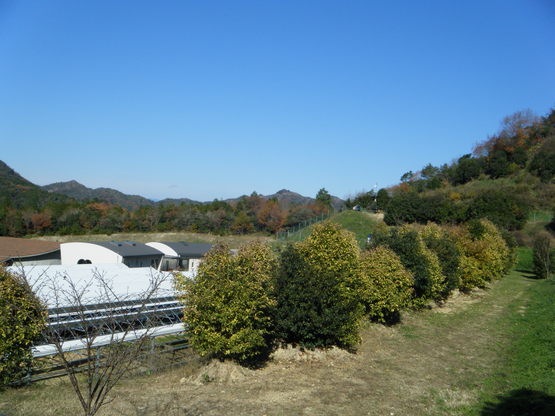 b0127531_21481035.jpg