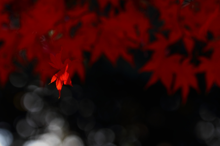 f0358531_23535942.jpg