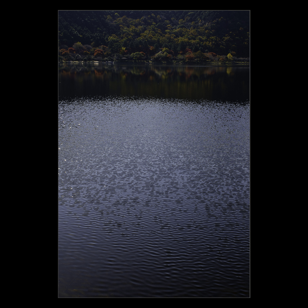 d0004832_9304136.jpg
