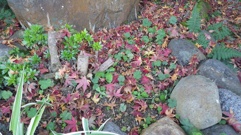 e0305733_611250.jpg