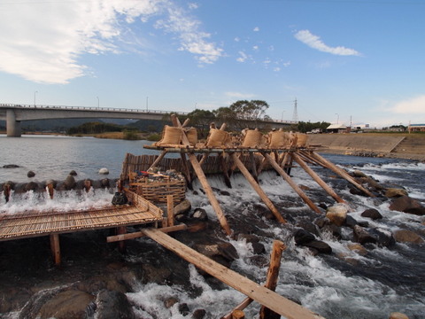 b0199742_6324988.jpg