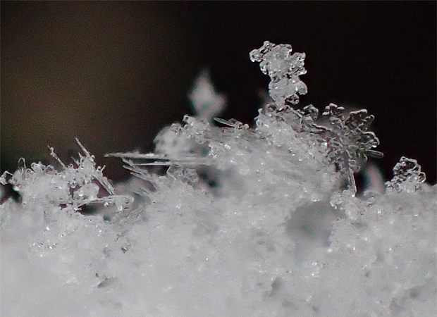 f0214649_17471447.jpg