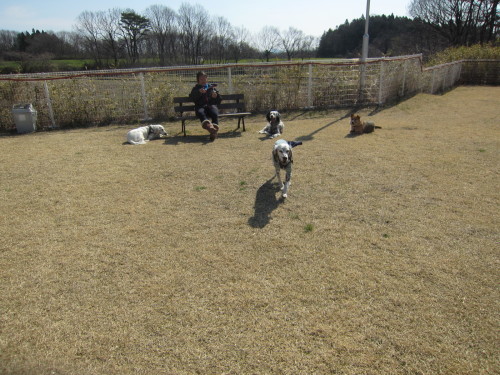 b0072650_15100811.jpg