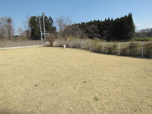 b0072650_15143848.jpg