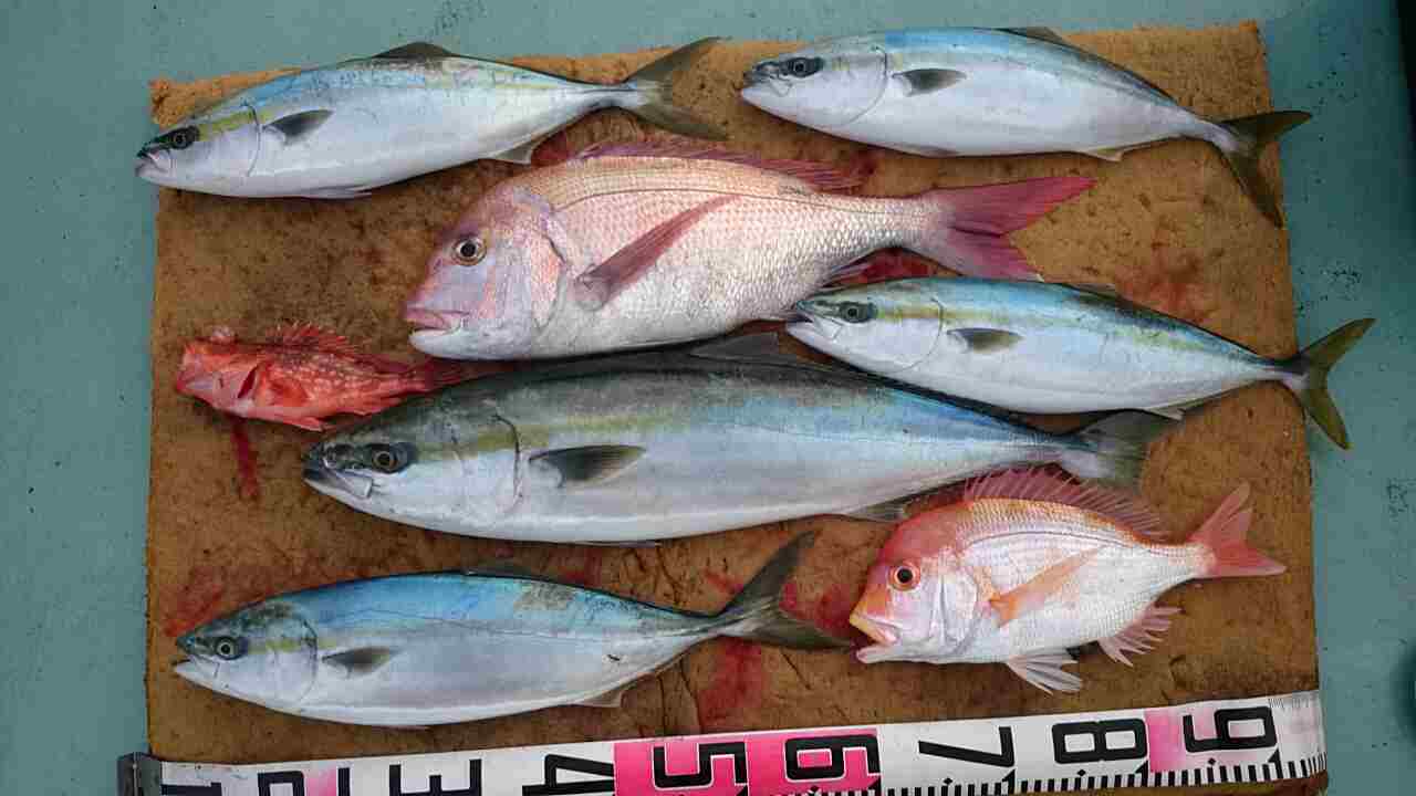 a0248152_17394371.jpg